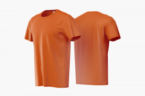 Camiseta Poliviscose Laranja Personalizada Poliviscose Camiseta Unisex   tradicional Adulto