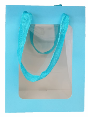 Sacola de papel P Papel cartão + pvc 20X15X10    